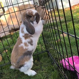 Meet your Posher, Selma